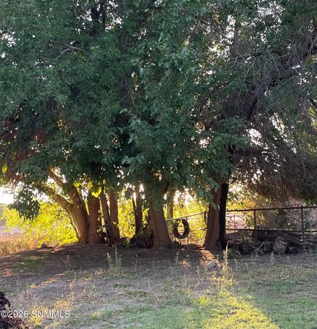 3595 Lucky Lindy Lane, Las Cruces, NM 88007