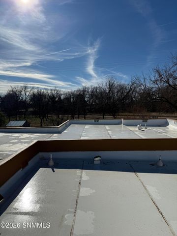 3595 Lucky Lindy Lane, Las Cruces, NM 88007