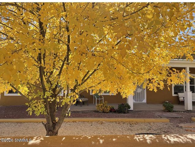 3595 Lucky Lindy Lane, Las Cruces, NM 88007