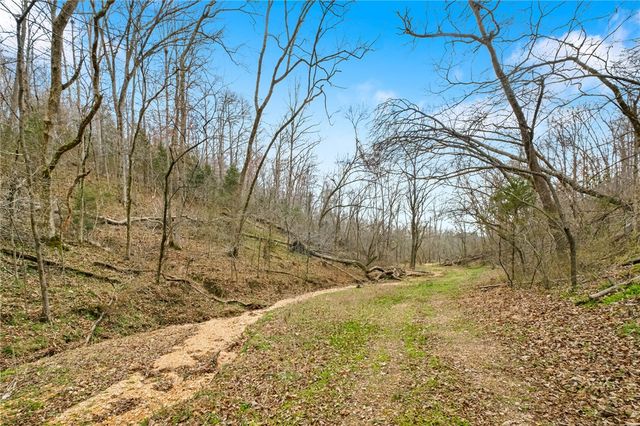 TBD Sallie Drive, Rogers, AR 72756