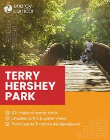 2002 Gentryside Drive 110, Houston, TX 77077