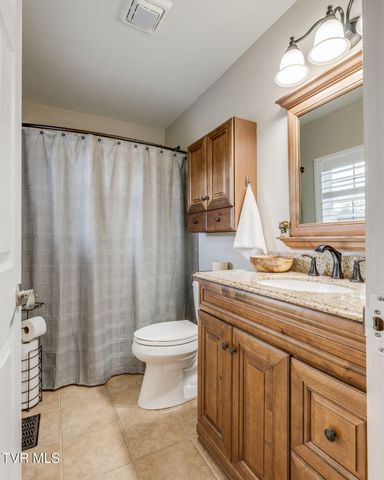69 Pine Ridge Drive, Afton, TN 37616