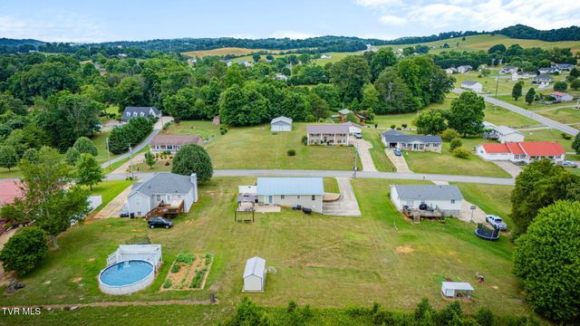 69 Pine Ridge Drive, Afton, TN 37616