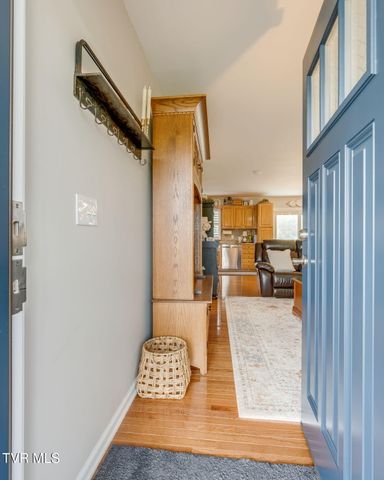 69 Pine Ridge Drive, Afton, TN 37616