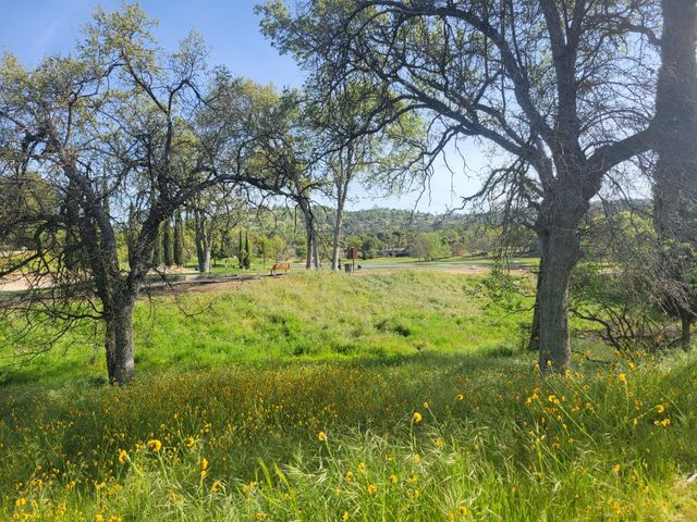 30685 Yosemite Springs Pkwy, Coarsegold, CA 93614