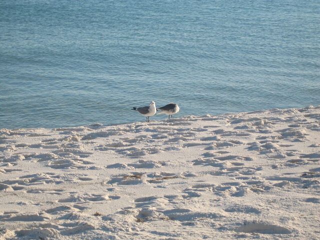 663 Nautilus Court 201, Fort Walton Beach, FL 32548