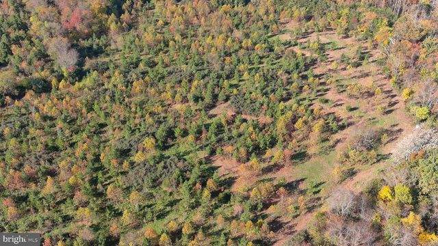 OLD BARBOURSVILLE RD, Gordonsville, VA 22942