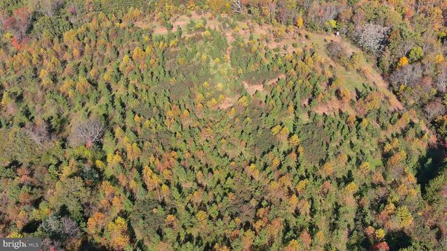 OLD BARBOURSVILLE RD, Gordonsville, VA 22942