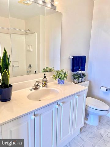 3200 N LEISURE WORLD BLVD #314, Silver Spring, MD 20906