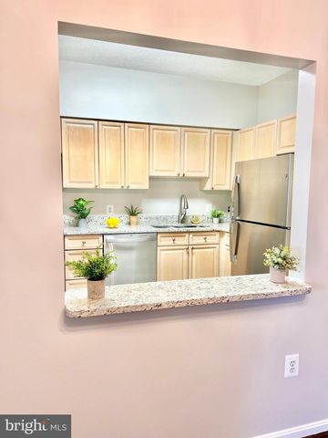 3200 N LEISURE WORLD BLVD #314, Silver Spring, MD 20906