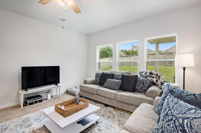 40557 Mostyn Lake Drive, Magnolia, TX 77354