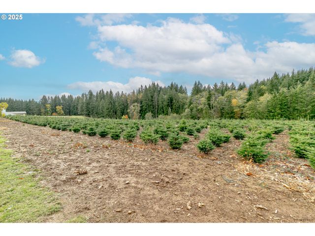 29795 Se GRUBER Rd, Estacada, OR 97023
