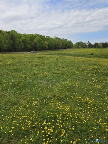 00 Perkinsville Lot 6 Rd, Maidens, VA 23102