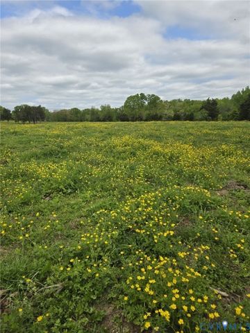00 Perkinsville Lot 6 Rd, Maidens, VA 23102