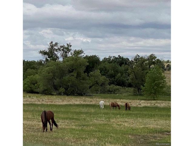 6484 Stroh Rd, Parker, CO 80134
