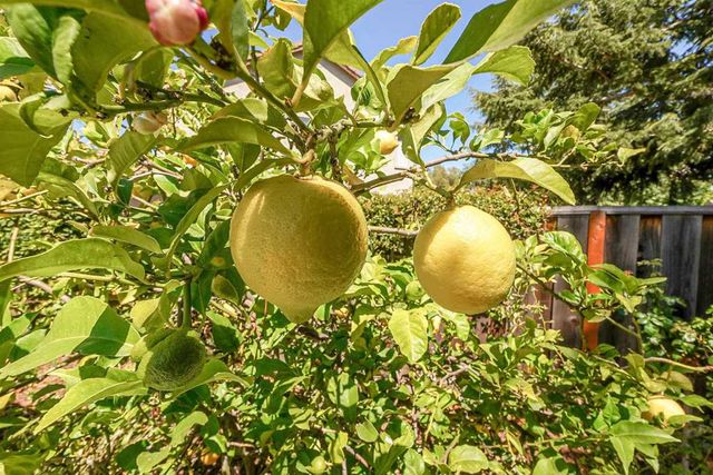 327 327 Brookview Way, Hayward, CA 94544