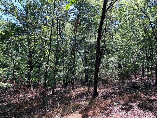 Leola Lane, Bella Vista, AR 72715
