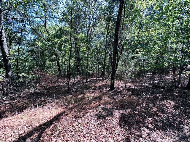 Leola Lane, Bella Vista, AR 72715