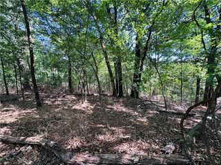 Leola Lane, Bella Vista, AR 72715