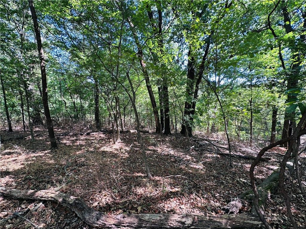 Leola Lane, Bella Vista, AR 72715