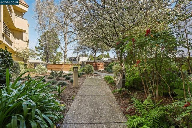 1201 Alta Vista Drive 106, Walnut Creek, CA 94596