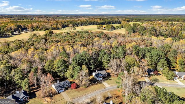 423 Serenity Walk, Mcdonough, GA 30252