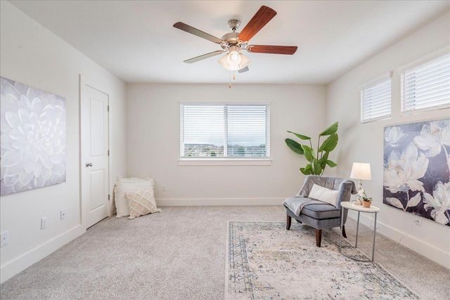 439 White Steppe WAY 51, Georgetown, TX 78626