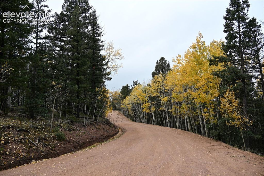1020 Princess Road, Cripple Creek, CO 80813 — exterior