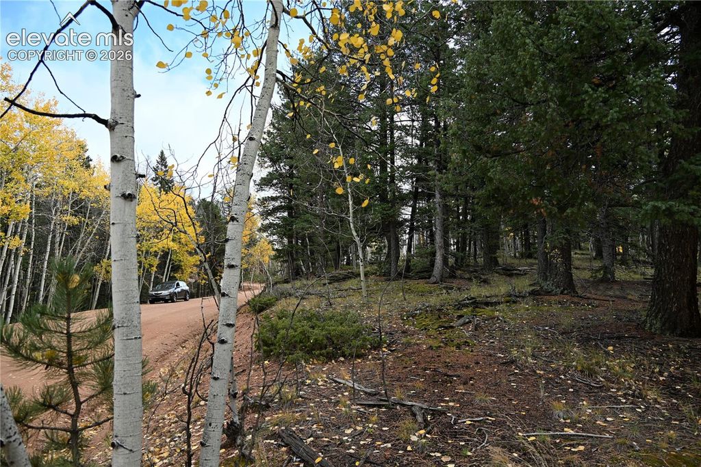 1020 Princess Road, Cripple Creek, CO 80813 — photo 2