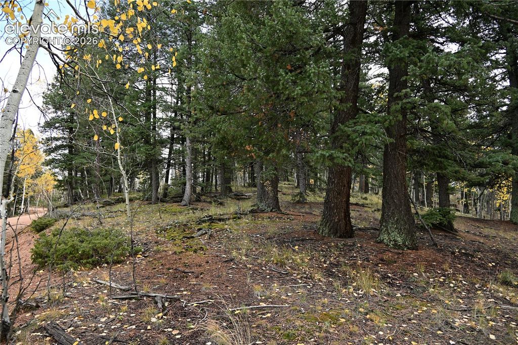 1020 Princess Road, Cripple Creek, CO 80813 — photo 3
