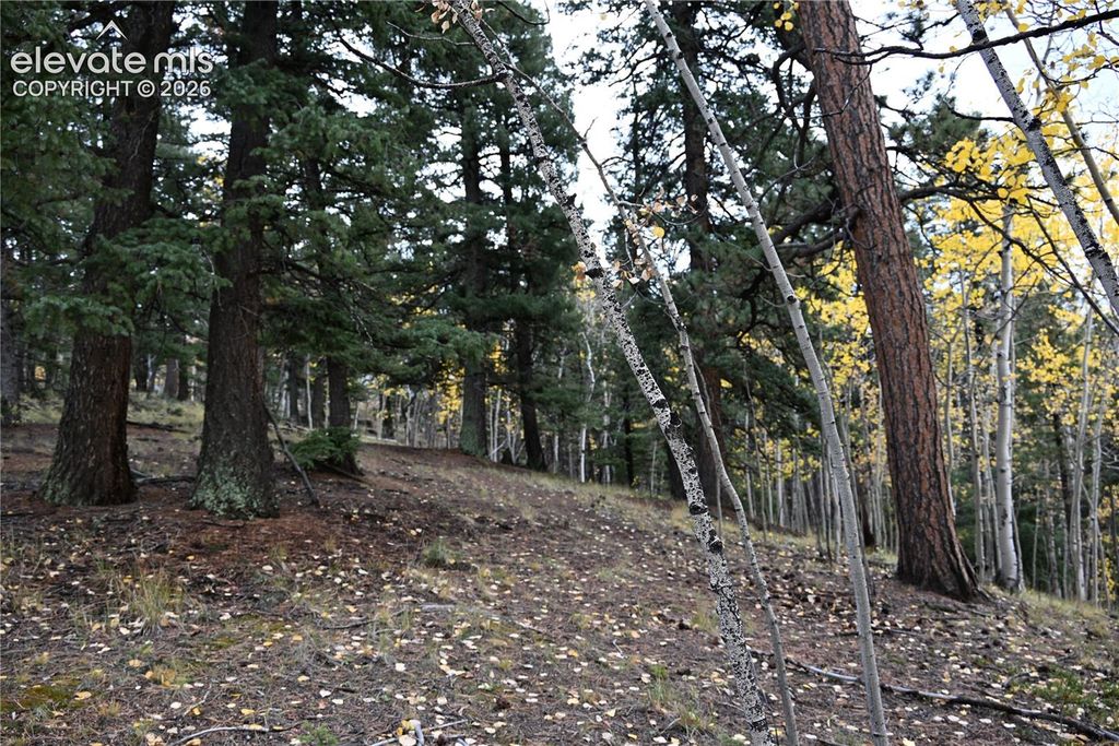 1020 Princess Road, Cripple Creek, CO 80813 — photo 4