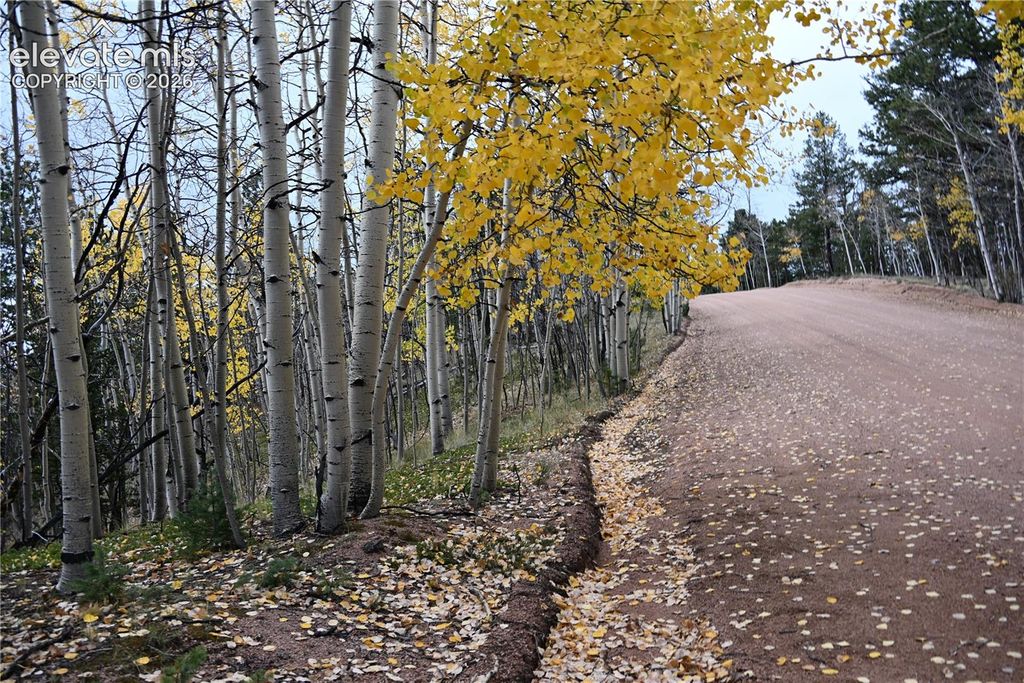 1020 Princess Road, Cripple Creek, CO 80813 — photo 5