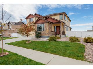 1205 Muskox St, Severance, CO 80550