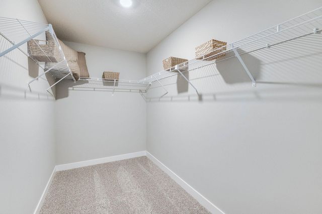 156 Snowdrop Trail, Waconia, MN 55387