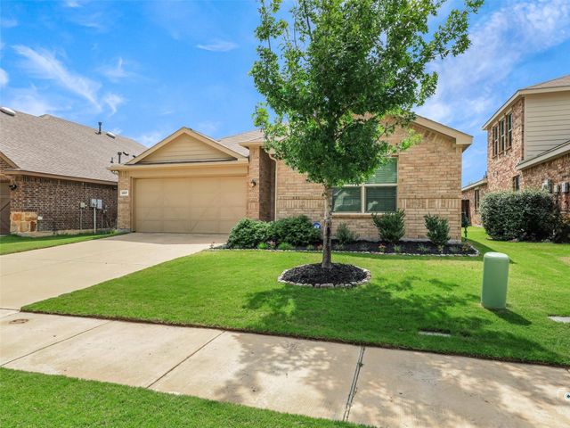 4517 Ashmark Road, Little Elm, TX 76227