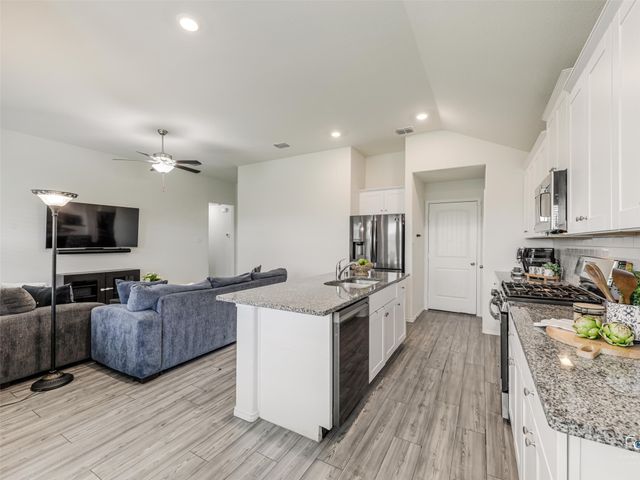 4517 Ashmark Road, Little Elm, TX 76227
