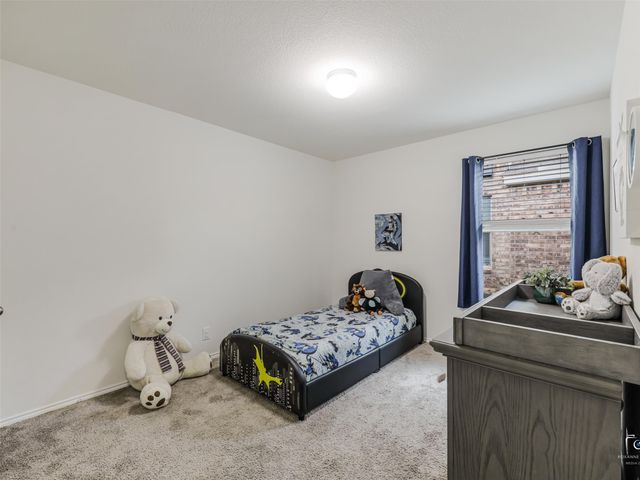 4517 Ashmark Road, Little Elm, TX 76227
