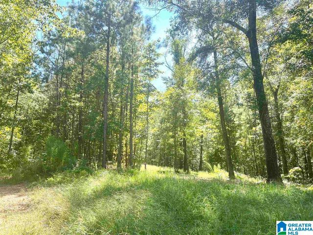 Lot 3B CABIN ROAD, Bessemer, AL 35022