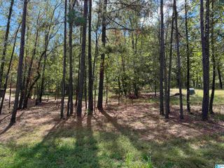 Lot 3B CABIN ROAD, Bessemer, AL 35022