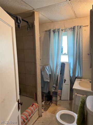 919 E 139th Street, Cleveland, OH 44110