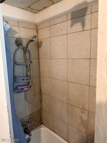 919 E 139th Street, Cleveland, OH 44110
