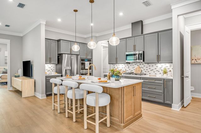 380 Suwannee Drive, 14A, Watersound, FL 32461