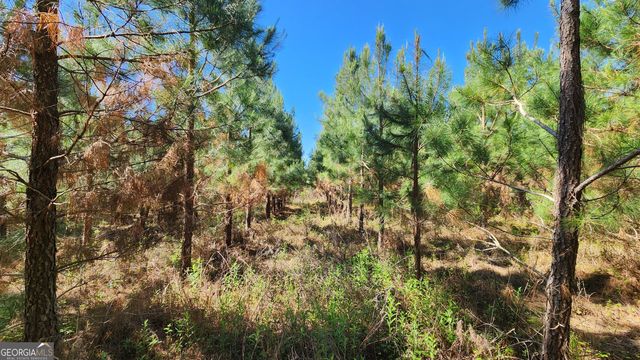 246 Melton Mill Road, Dawson, GA 39842