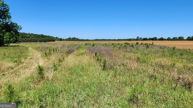 246 Melton Mill Road, Dawson, GA 39842