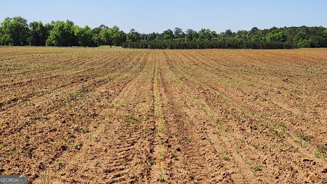 246 Melton Mill Road, Dawson, GA 39842