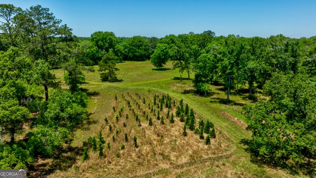 246 Melton Mill Road, Dawson, GA 39842