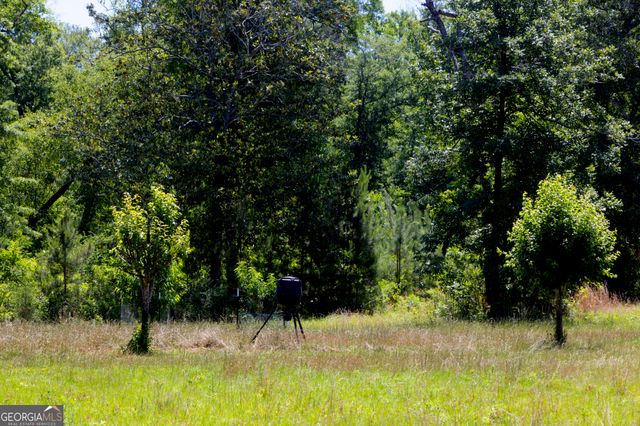 246 Melton Mill Road, Dawson, GA 39842