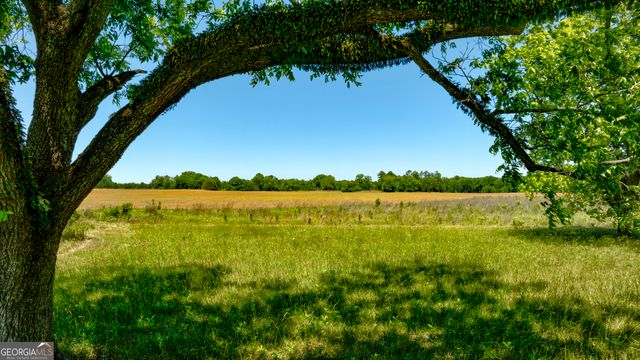 246 Melton Mill Road, Dawson, GA 39842