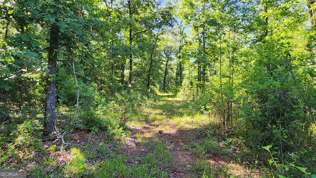 246 Melton Mill Road, Dawson, GA 39842