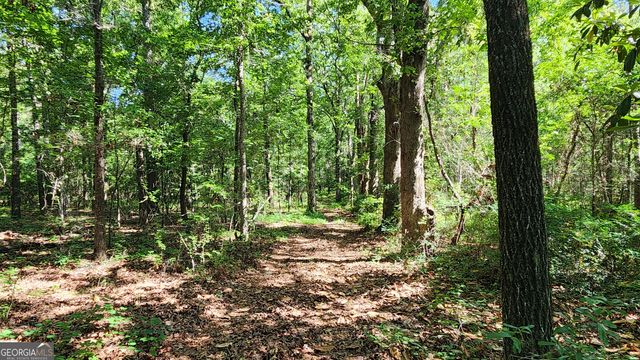 246 Melton Mill Road, Dawson, GA 39842